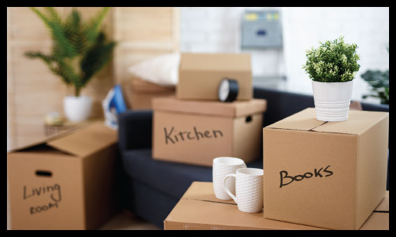 create organized piles
