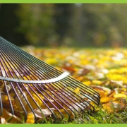 raking fall leaves 5